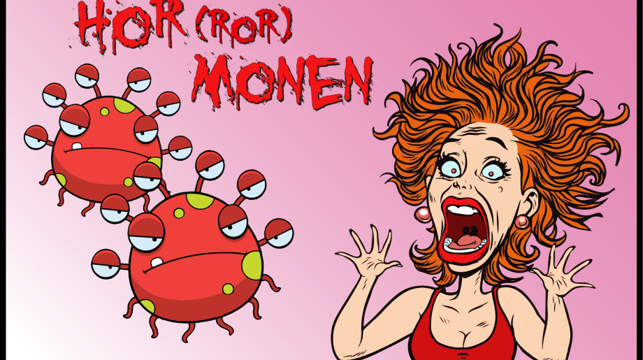 Hormooncentrum/Menstruatie voorlichtingsinstituut  Eersel afbeelding 2
